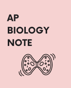 Ap bio notes full - Chromosomal Genetics Practice Problems for AP Biology AP BIO FULL EXAM PREPARATION