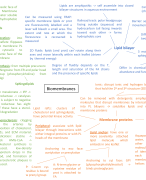 molecular cell biology: Mind maps and important figures