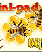 Antwoordblad Minipad bijen