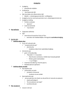 Samenvatting Analgetica