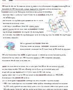 Nectar Biologie H17 DNA 
