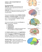 SAMENVATTING NEUROPSYCHOLOGIE (alle hoorcolleges + aantekeningen en uitleg + plaatjes!!!)