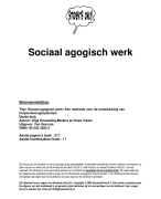 Sociaal agogisch werk Samenvatting 