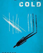 Uitgebreide samenvatting per hoofdstuk: Stone Cold (Robert Swindells)