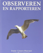 Observeren en rapporteren Samenvatting