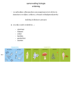 Samenvatting biologie voor jou h3 havo/vwo 1