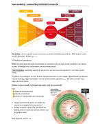 samenvatting flow marketing 