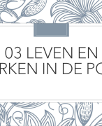 Samenvatting Memoria 2 Hoofdstuk 3: Leven en werken in de polis