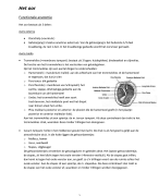 Samenvatting ZHB3
