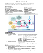 Samenvatting I&A deel 1