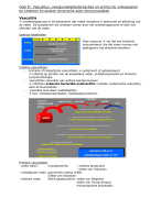 Samenvatting I&A deel 2