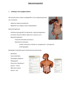 samenvatting - anatomie & fysiologie: spijsverteringsstelsel