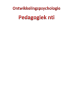 pedagogisch werk: basis boek PBW