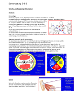 Samenvatting ZHB 2