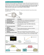 Summary Theories of Leadership and Management - lectures + ALL articles (2023-2024)
