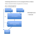 NCOI Business IT & Management: Module Opdracht Bedrijfskundig Management voor IT_cijfer 6