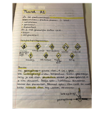 Samenvatting Overal Nask H1, 2vwo