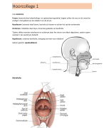 Samenvatting Dysphagia fase 3 logopedie