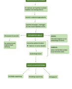 STROOMDIAGRAM _PSYCHODIAGNOSTISCH PROCESMODEL (Toegepaste Psychologie - Fase 3 - Thomas More)