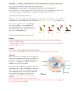 Biologie: Een zintuig onder de loep, het oog