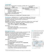 Samenvatting Hematologie en Oncologie