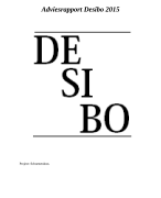 Voorbeeld Adviesrapport