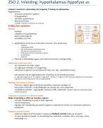 Hypothalamus - Hypofyse - as