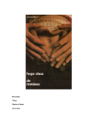 Boekverslag Nederlands De Metsiers - Hugo Claus