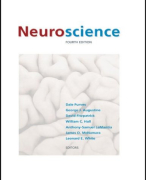 Samenvatting Boek Neuroscience Purves
