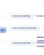 Hoofdstuk 10 Bank, Verzekeringen en beurs, mindmap, leen carrijn