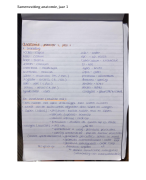 Samenvatting tentamen anatomie (van het hoofd-hals gebied)