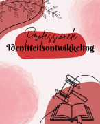Professionele Identiteitsontwikkeling 1 samenvatting