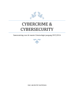 samenvatting cybercrime