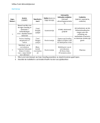 behandelplannen MSAw blok 1D