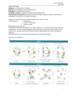 Apoptosis Master Medical Biology