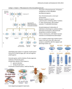 Molecular principles of development 