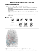 NLT Forensisch onderzoek Samenvatting