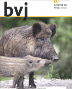 Samenvatting unit 1, bvj boek havo/vwo TTO (1A)