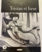 FR - samenvatting Tristan et Iseut VWO 4