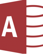 Samenvatting basisbeginselen Access