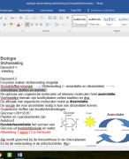samenvatting stofwisseling