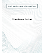 Bedrijfseconomie PO marktonderzoek verslag