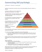 Samenvatting arbeidskunde en organisatie psychologie 