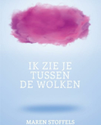 Oefenbundel op taak Nederlands literatuuropdracht boekenfiche - Ik zie je tussen de wolken van MAREN STOFFELS - 2 Doorstroom/ 2 Dubbele finaliteit/2 Arbeidsmarkt - Examencommissie 2024