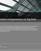 Essay Slimme meter en Big Data