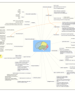 Mindmap Brain@work