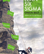 Lean Six Sigma Green Belt - HC Theisens
