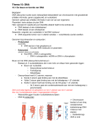 Biologie voor jou VWO 5 - Thema 10: DNA