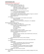 kunstgeschiedenis en archeologie van de Griekse en Romeinse oudheid, prof Cosyns, examenvragen