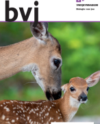 Biologie BVJ VWO/Gymnasium Leerjaar 1 Thema 6: voortplanting bij planten en dieren. 